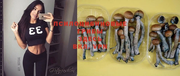 гашик Бронницы