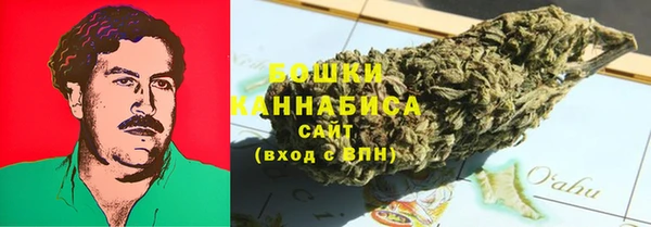гашик Бронницы