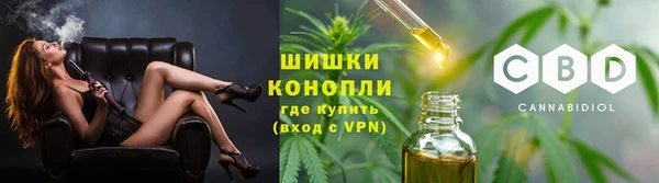 ПСИЛОЦИБИНОВЫЕ ГРИБЫ Бугульма