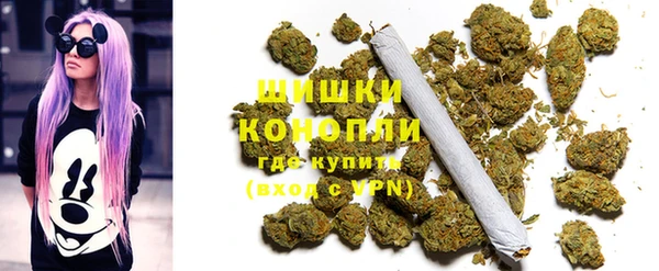 гашик Бронницы