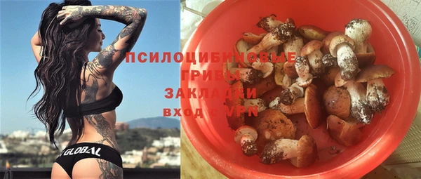 гашик Бронницы